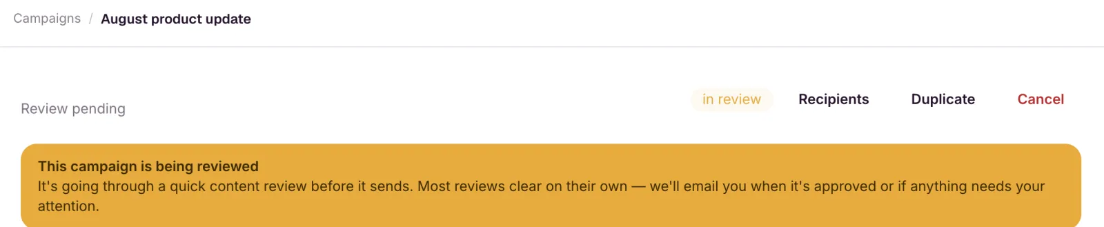 A campaign in review: the in review badge in the page header, and the amber This campaign is being reviewed alert below it.